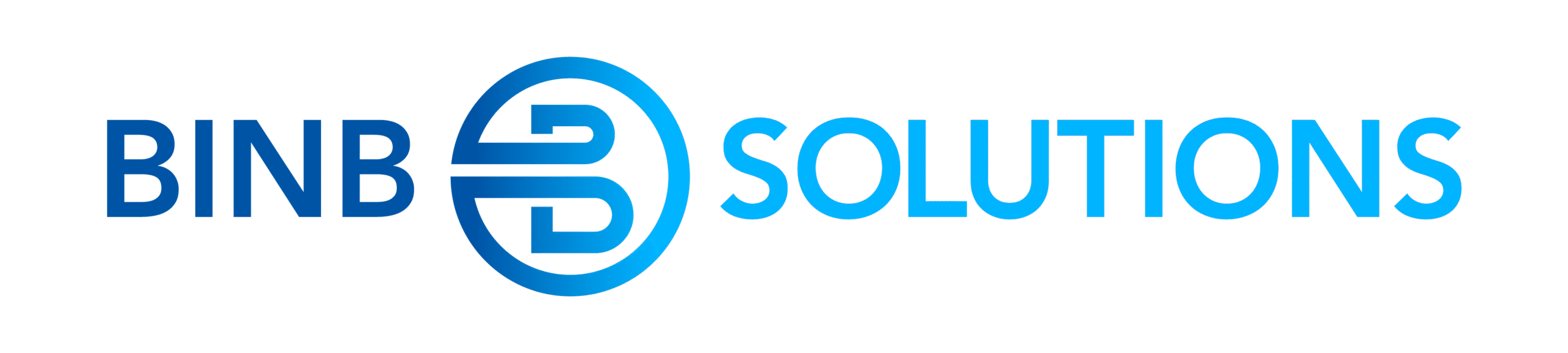 BinB Solutions logo featuring stylized text in blue, representing a service-oriented business focused on providing innovative solutions.